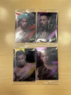 RIZIN選手カード4枚セット エドポロ・キング　神龍誠　クレベル　YA-MAN