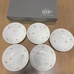 Adam & Eve 桜模様 食器セット 5枚