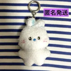 NewJeans ヘリン POPUP bunini ぬいぐるみチャーム ホワイト - メルカリ