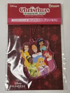Disney Princess アクリルオーナメント Happyくじ 2025のサムネイル