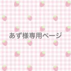 専用ページ
