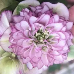 アユミSHOP様 リクエスト 2点 まとめ商品