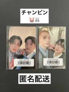Stray Kids Hollow ユニットトレカ　　 チャンビン　2枚セット