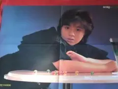 東京グランギニョル ライチ・光クラブ 公演チラシ ポスター 丸尾末広