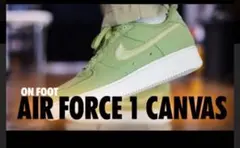 試着程度 ナイキ エア フォース 1 LOW キャンバス　Air Force 1