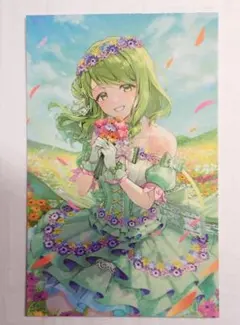 森中花咲 ノスタルジアコレクション2025