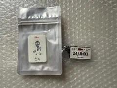 【ソヌ】 ENHYPEN バンコク　キーリング　マグネット