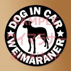 Item thumbnail for item 4c6197a7-7f2b-4acc-913b-cc96e1ce72b5