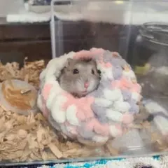 Item thumbnail for item 2dfc6421-8e15-41fa-a44b-c9525a04aba5