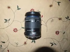 Item thumbnail for item 7195c513-df24-4345-9e8f-e5040d856aa5