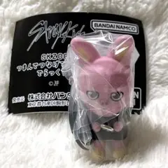 ✦ฺSKZOO つまんでつなげてますこっと でらっくす！ スキズ　トゥエッキ✦ฺ