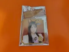 Item thumbnail for item 391943fe-b33c-474b-99c4-2a6bf16e3a3f