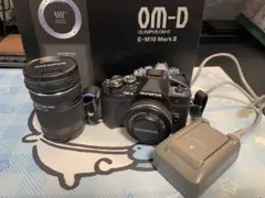 RICOH GXR＋P10＋A16 セット 動作確認済 バッテリー2個 - メルカリ
