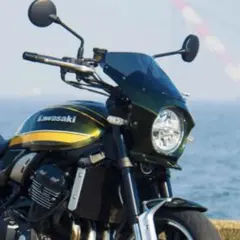 2026年最新】z900rs ビキニカウル グリーンの人気アイテム - メルカリ