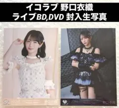 イコラブ = LOVE 野口衣織 封入 生写真 黒衣装 宝石衣装 円盤 DVD