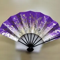 Item thumbnail for item 81ffbb5d-3c25-4e69-993e-da371bbbf0d1