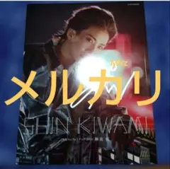 極希少】新品未開封 春光乍洩ブエノスアイレス撮影手記写真集レスリー