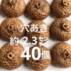 北海道　レッドオーク　穴あき帽子　どんぐり雑貨　40個　どんぐりネックレス