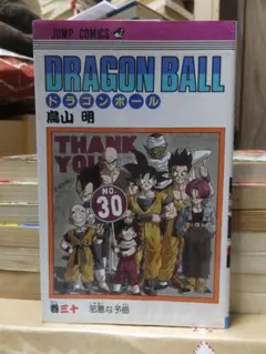 ドラゴンボール 30巻 初版 邪悪な予感 初刷 三十巻 - メルカリ
