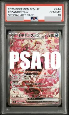 2026年最新】キチキギスex sar psa10の人気アイテム - メルカリ