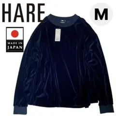 Item thumbnail for item ddabeb79-72e1-4031-9072-ca818ff624ea