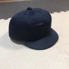 Item thumbnail for item e549ceaf-c5b9-40e6-87b0-7213da2bb956