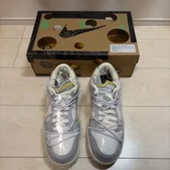 Off-White × Nike Dunk Low 1 Lot.49