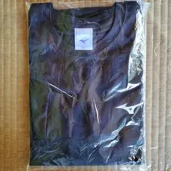 【新品】MIZUNO トレーニング長袖Ｔシャツ XL