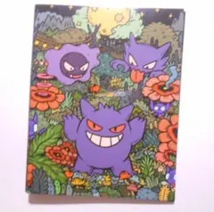 ポケモンセンター限定 4ポケットコレクションファイル ゲンガー