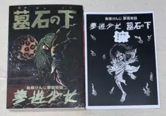 Item thumbnail for item e4707955-271a-4cb9-b3a0-1e1c6c9d1fa7