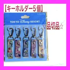 【新品未使用】【品切品】ディズニーランド シー リゾート キーホルダー5個セット