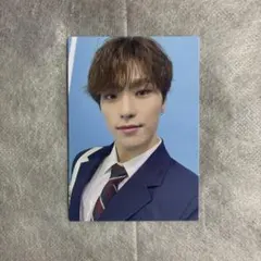 セブンティーン　ディノ　トレカ