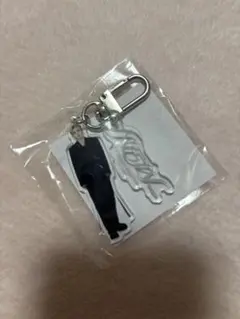 SEVENTEEN エスクプス キーホルダー