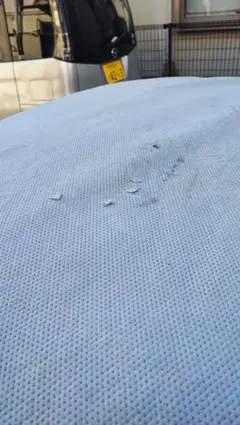 Item thumbnail for item bca99b33-9198-42e9-b8c5-141b5e4c2b7e