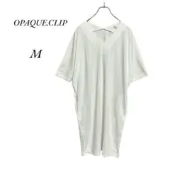 Item thumbnail for item 8d197542-9b43-46a7-bfde-e5e8367b305d