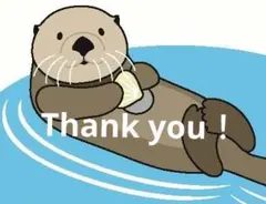 りーちゅん様 リクエスト 2点 まとめ商品