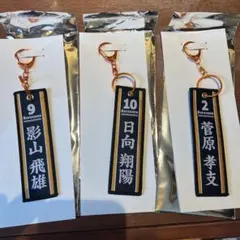 ハイキュー　タイトーくじ　G賞　フライトタグ　3点セット