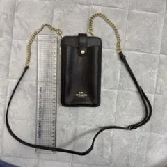 Item thumbnail for item 41fcdc24-f510-475e-81ad-ca72897d0581