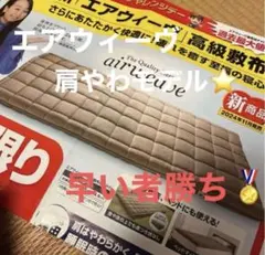 【みかんさま専用】airweave エアウィーヴ四季布団シングル(^-^)のサムネイル