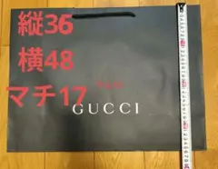 紙袋　ショッパー　エコバッグ　ギフト　GUCCI　プレゼント　ラッピング