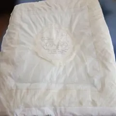 Item thumbnail for item a6d06332-11d3-4cae-bce5-9158092ad03e