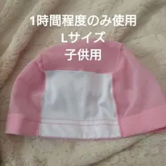 Item thumbnail for item 725428d0-47f8-47b3-90d4-6062b791b192