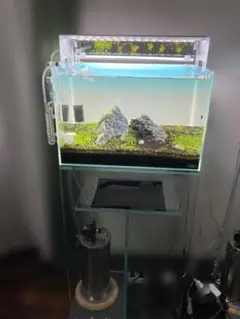 2025年最新】ada 龍王石の人気アイテム - メルカリ