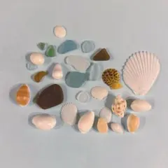 貝殻セット シーグラス ハンドメイド素材 小さめ