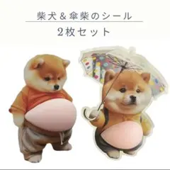 柴犬　2枚セット　3D シール　ステッカー　ぷにぷにシール　スクイーズ　立体