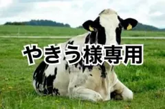 Item thumbnail for item 168e9b60-9262-4259-9257-c04af0c69ea2