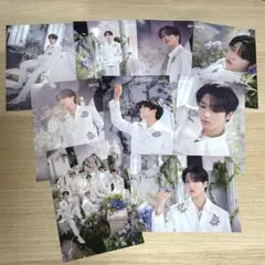 straykids ハン ラントレ MANIAC アンコン オール コンプリート