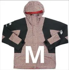 Supreme The North Face Mountain Jacket