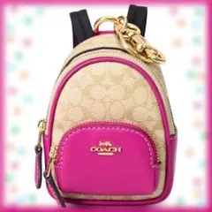 COACHコーチ コーティングキャンバス レザー シグネチャー リュックサック