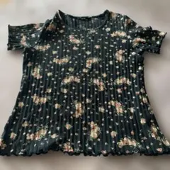 Item thumbnail for item 3c3ed7f2-15e8-4ab7-8796-7a98250a4a42